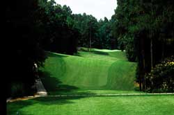 Stone Mountain Golf